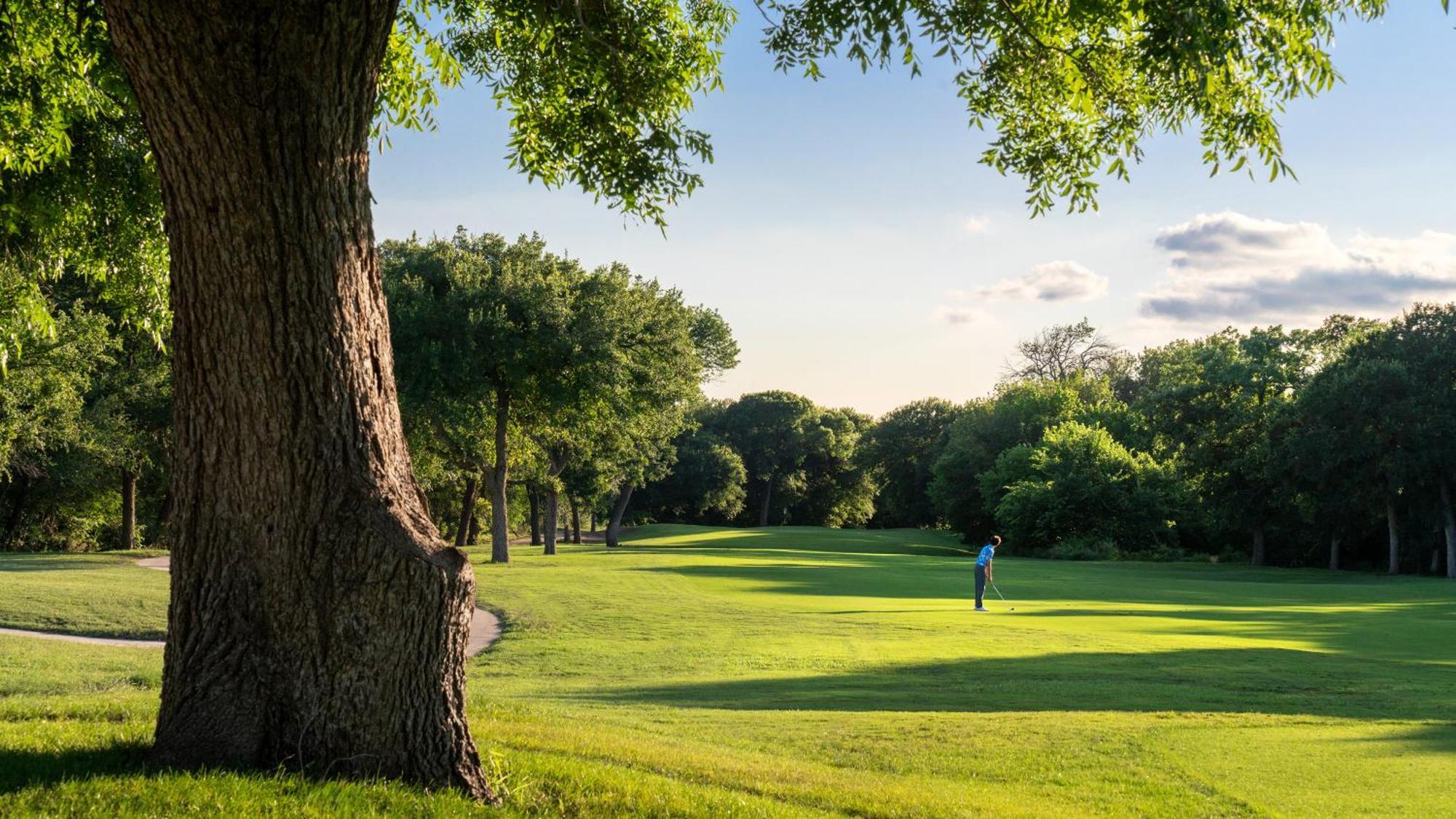 Dallas/Fort Worth Marriott Hotel & Golf Club At Champions Circle Roanoke Eksteriør bilde